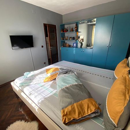 Comfort Home Apartment 2 Petroşani エクステリア 写真