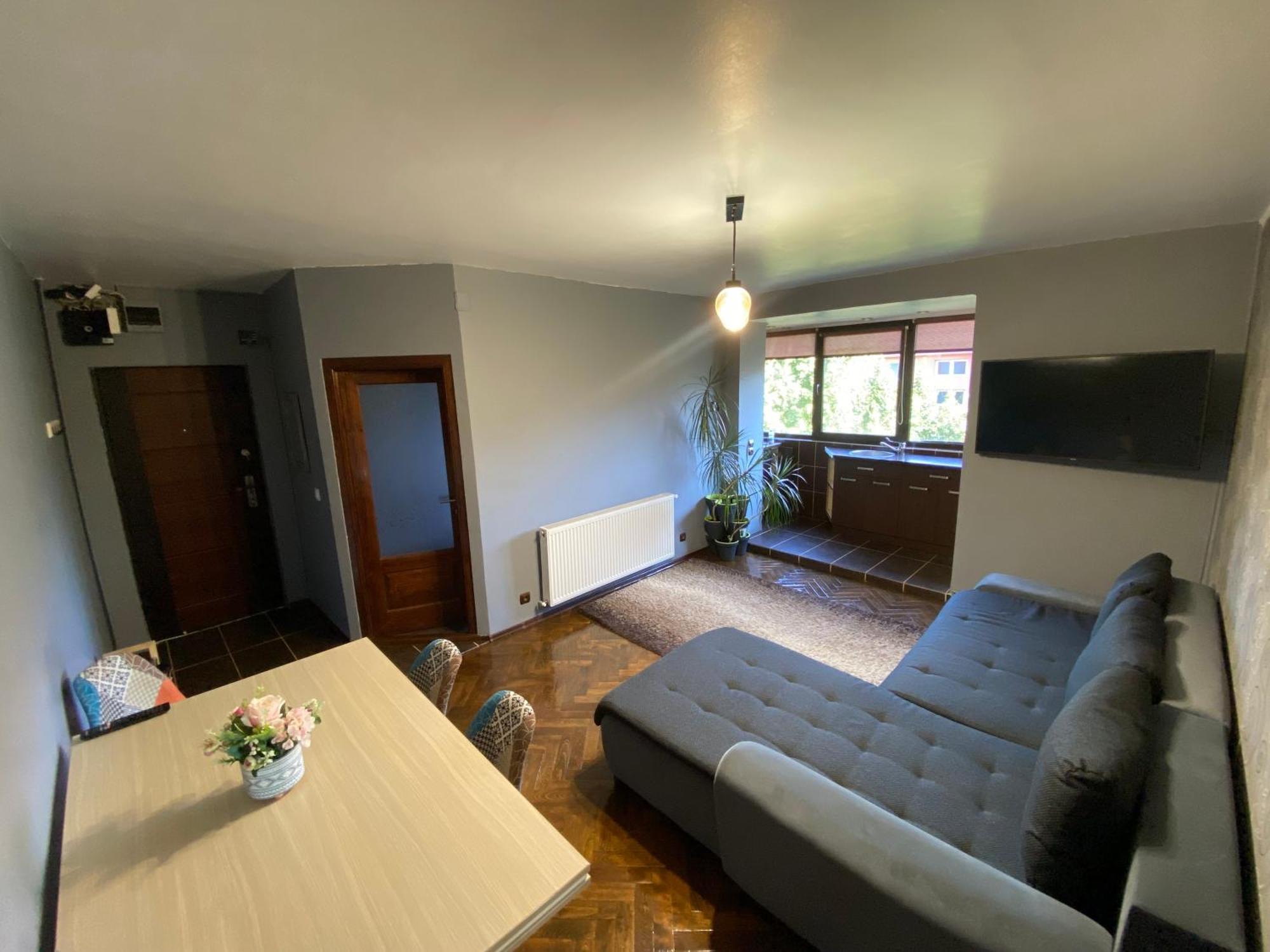 Comfort Home Apartment 2 Petroşani エクステリア 写真