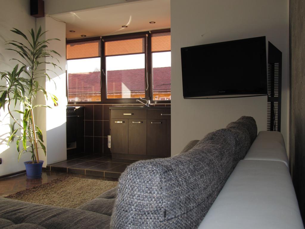 Comfort Home Apartment 2 Petroşani エクステリア 写真