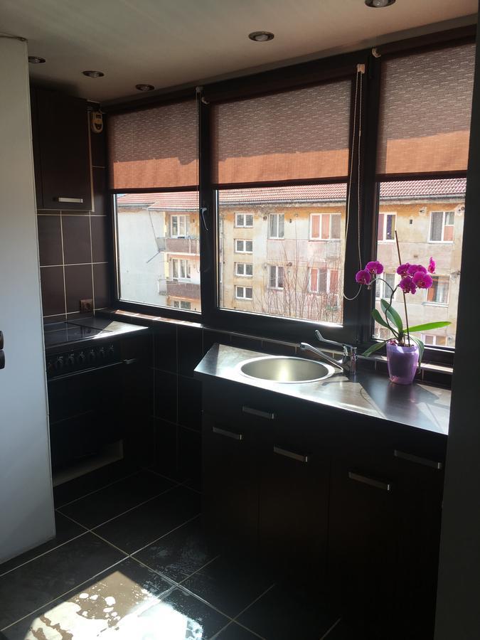 Comfort Home Apartment 2 Petroşani エクステリア 写真